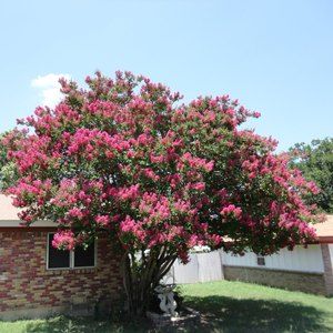 Meet your Posher, Cecelia